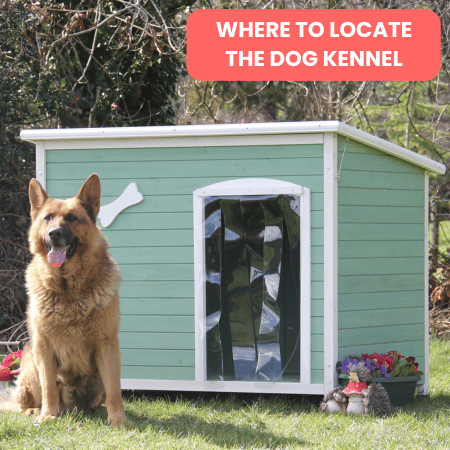 Where to Locate the Dog Kennel